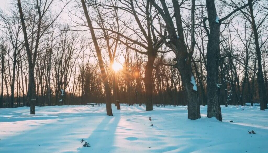 winter